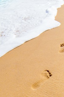 【索尼Xperia X Compact(双4G)壁纸】高清索