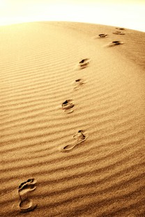 【索尼Xperia X Compact(双4G)壁纸】高清索