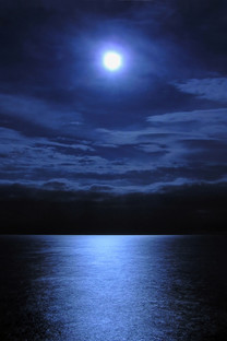 【索尼Xperia X Compact(双4G)壁纸】高清索