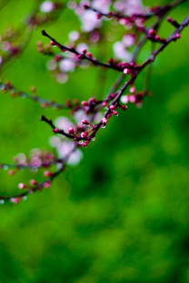 【索尼Xperia X Compact(双4G)壁纸】高清索