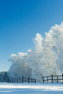 唯美的白雪手机桌面壁纸