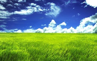 ChMkJ1fJUBCIVM_fAAXBxcDP4LAAAU9VgLsrrIABcHd904.jpg
