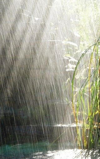 唯美下雨天手机壁纸