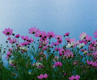 ChMkJ1fJRpGIOhGwAAdcBrN9p6EAAU8ggFXKXYAB1we220.jpg