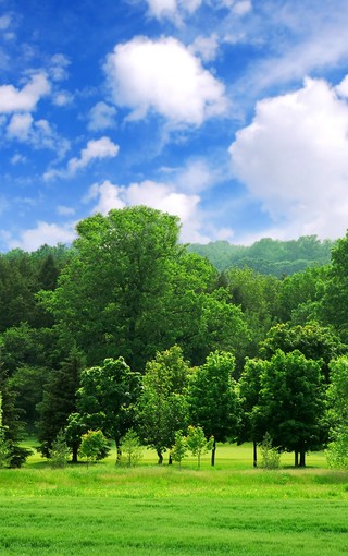 古诗中的自然的风景