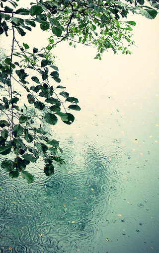 雨中风景高清手机壁纸