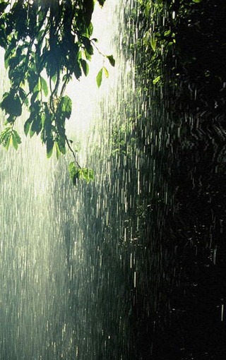 雨中风景高清手机壁纸