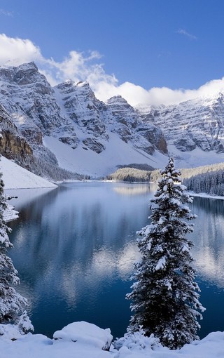 手机怎么拍雪景最清晰 ChMkJlfJV4qIMy5pAAqueYs1ihAAAU-EgBvG-8ACq6R671.jpg