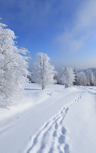 唯美的白雪手机桌面壁纸