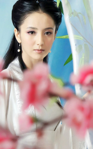 手机佟丽娅壁纸高清壁纸第2页-ZOL性感美女低白血球病毒性v手机图片