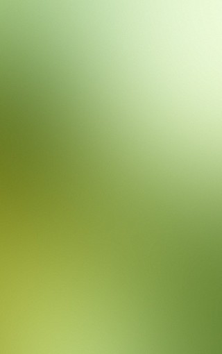 ChMkJ1fJTVSIMwoNAAGaeNwq3VEAAU9HQNLoUIAAZqQ576.jpg