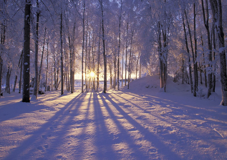 静谧雪景高清壁纸